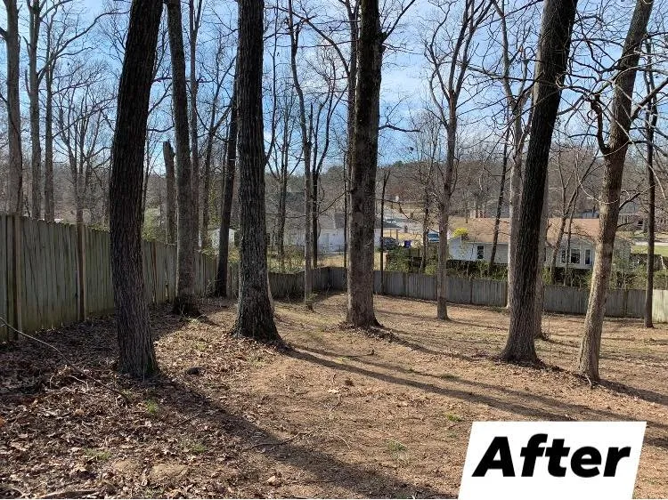 Trusted yard cleanup service with custom design in Bono, AR by Prime Cuts