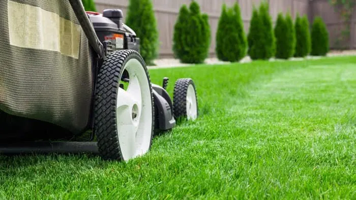 Expert lawn care service for outdoor upgrades across Bono, AR - Prime Cuts