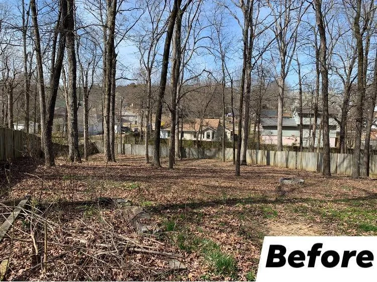 Reliable landscape design in Bono, AR - Prime Cuts