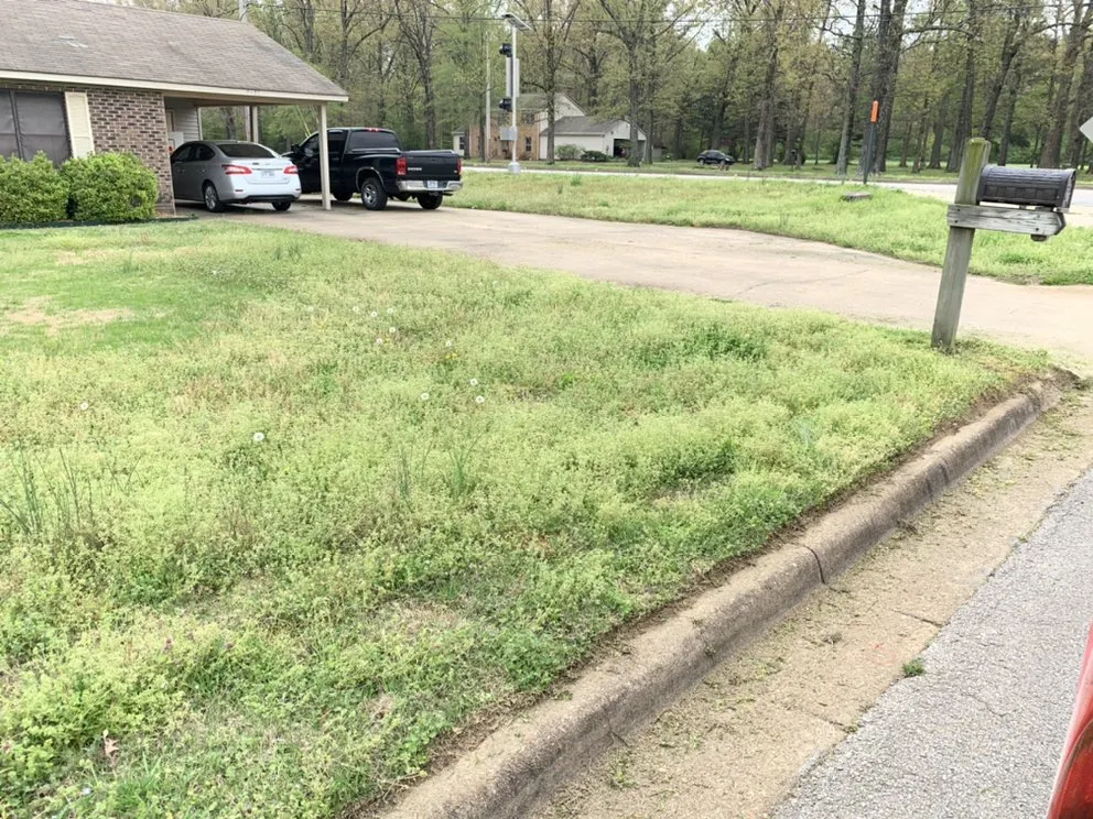 Professional lawn care service for homes in Bono, AR by Prime Cuts