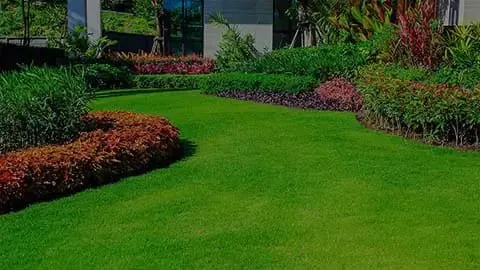 Affordable yard maintenance in Bono, AR by Prime Cuts