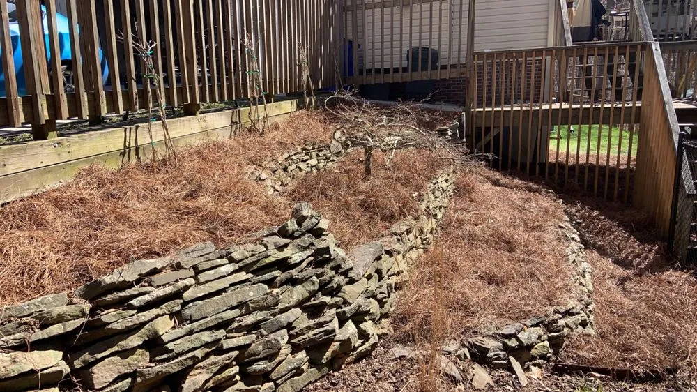 Local lawn care service in Graham, NC - Prime Cuts