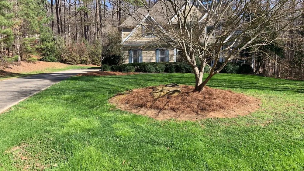 Reliable landscape design for outdoor upgrades across Graham, NC - Prime Cuts