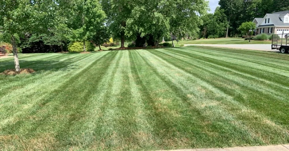 Professional yard cleanup service in Graham, NC - Prime Cuts