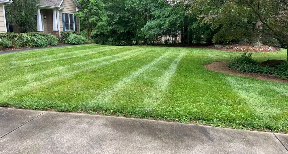Reliable lawn care service in Graham, NC - Prime Cuts