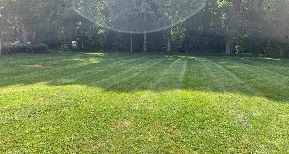 Professional outdoor landscaping in Graham, NC - Prime Cuts
