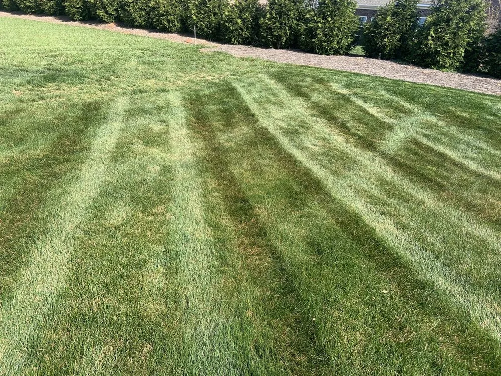 Reliable garden landscaping in Graham, NC - Prime Cuts