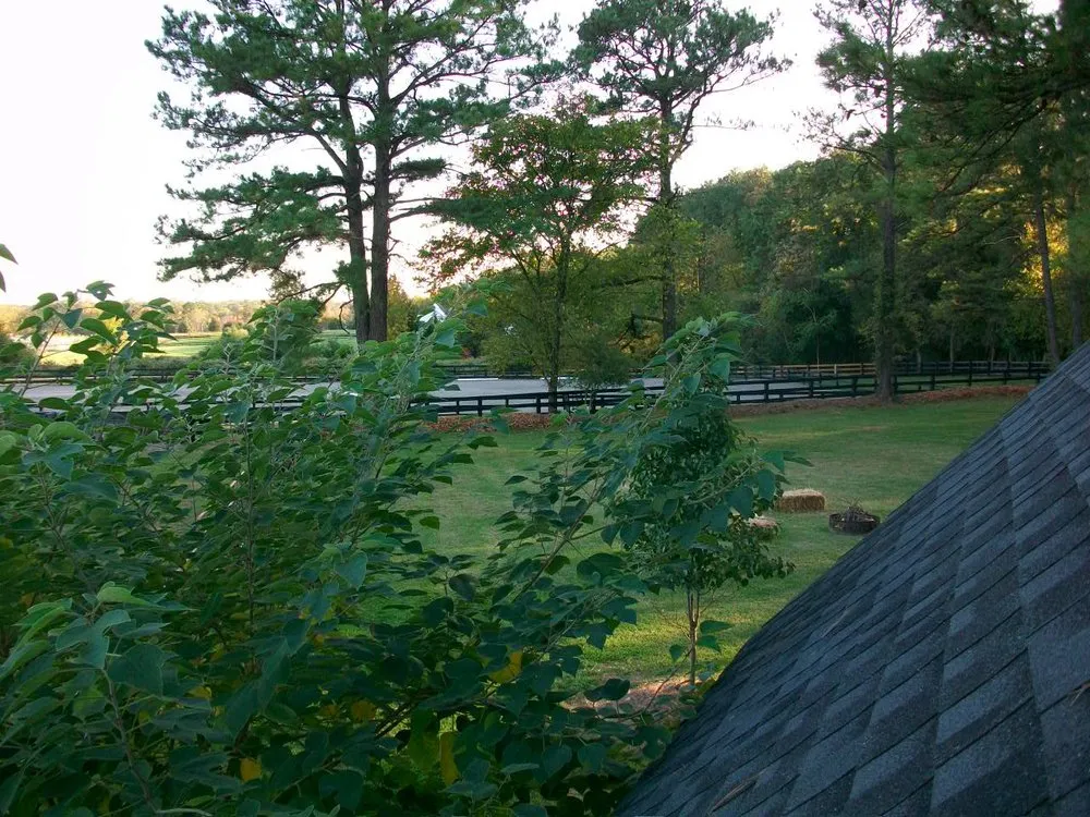 Local lawn mowing service in Glen Allen, VA - Prime Cuts RVA