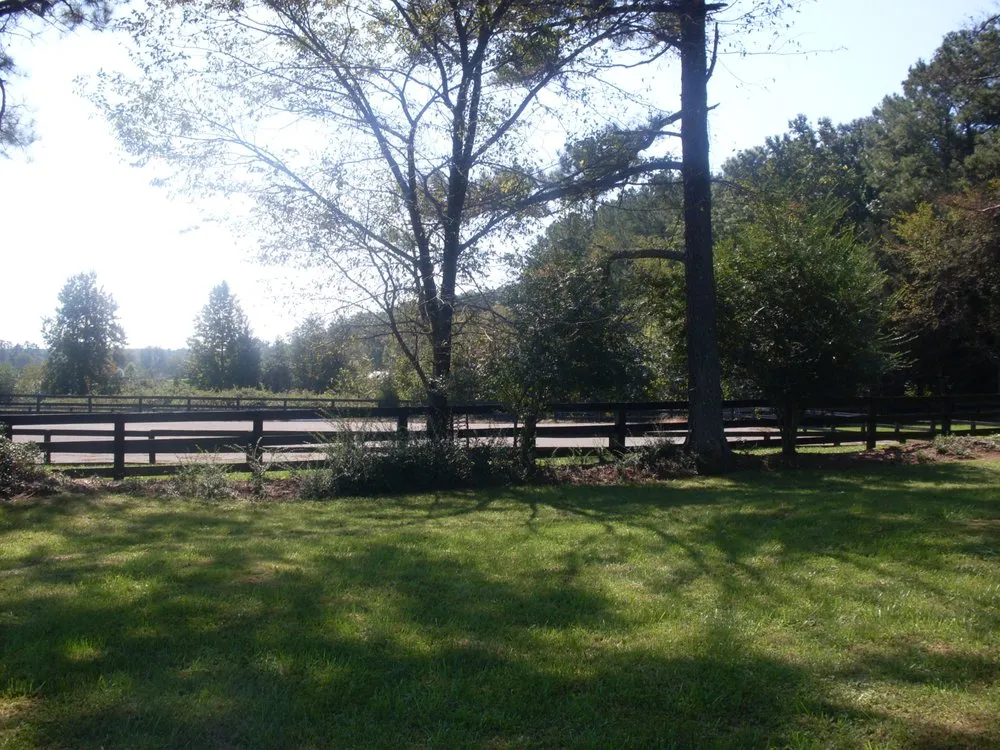 Top-rated yard cleanup service in Glen Allen, VA - Prime Cuts RVA