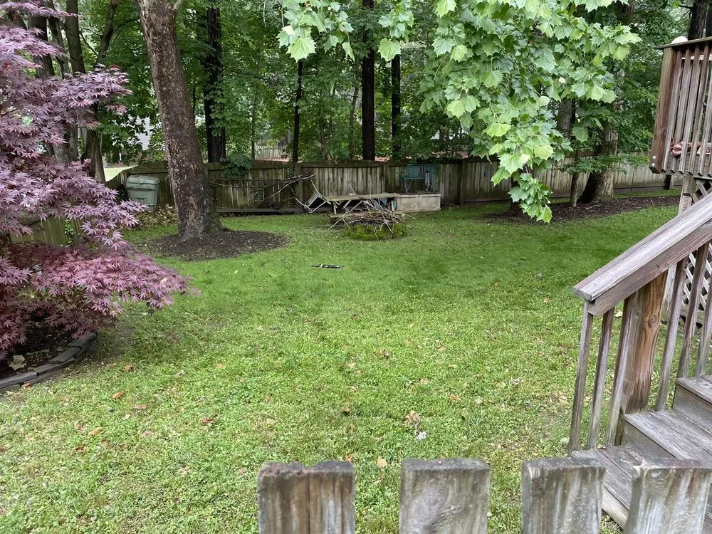 Reliable landscape design for outdoor upgrades across Glen Allen, VA - Prime Cuts RVA