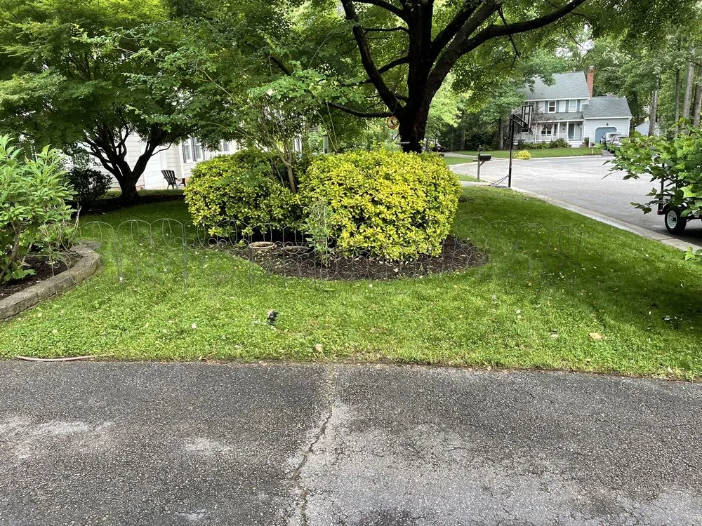 Affordable outdoor landscaping in Glen Allen, VA - Prime Cuts RVA