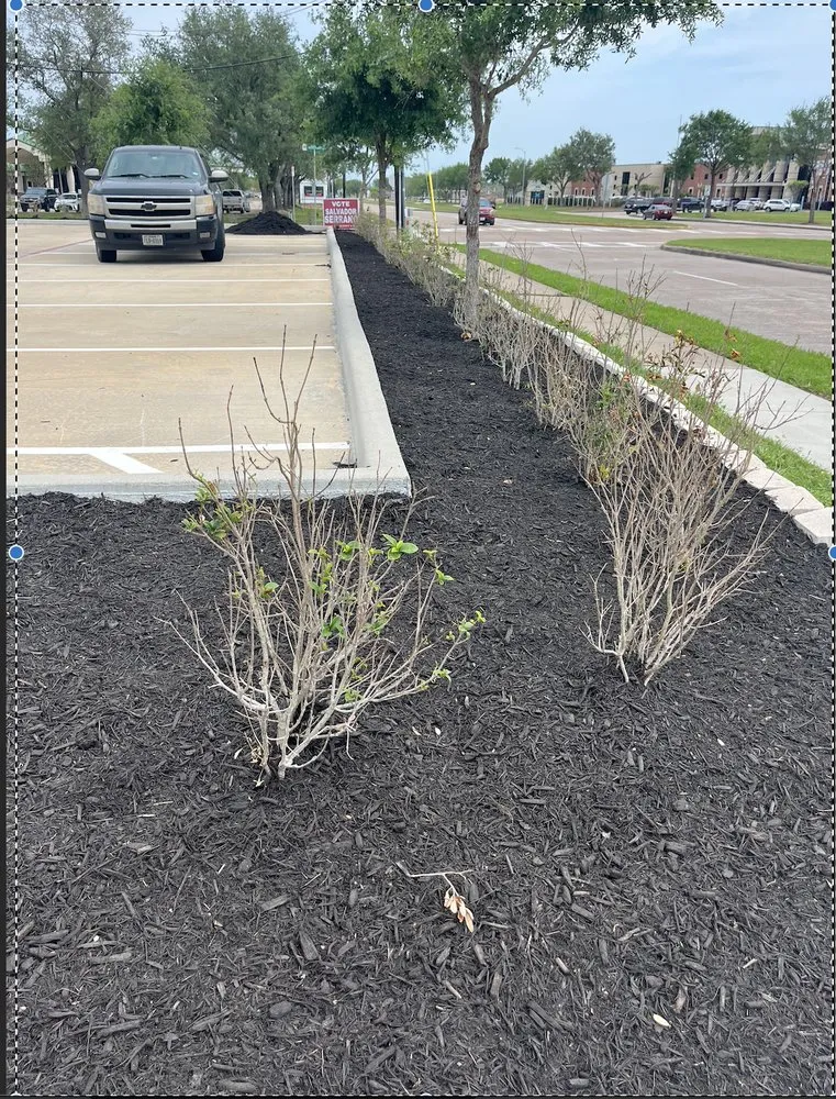 Expert garden landscaping for year-round maintenance across Cleveland, TX - Prime Edge Agricultural Solutions