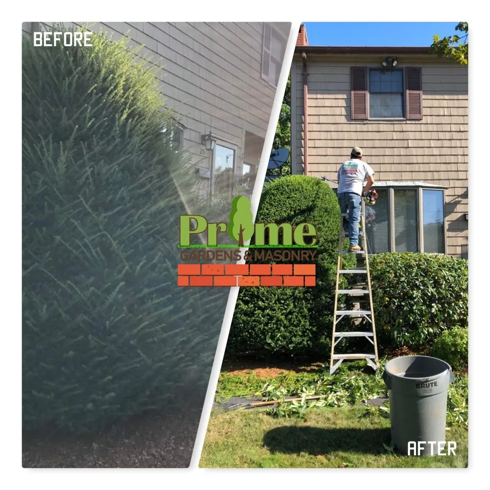 Reliable yard maintenance in Lynn, MA - Prime Gardens & Masonry