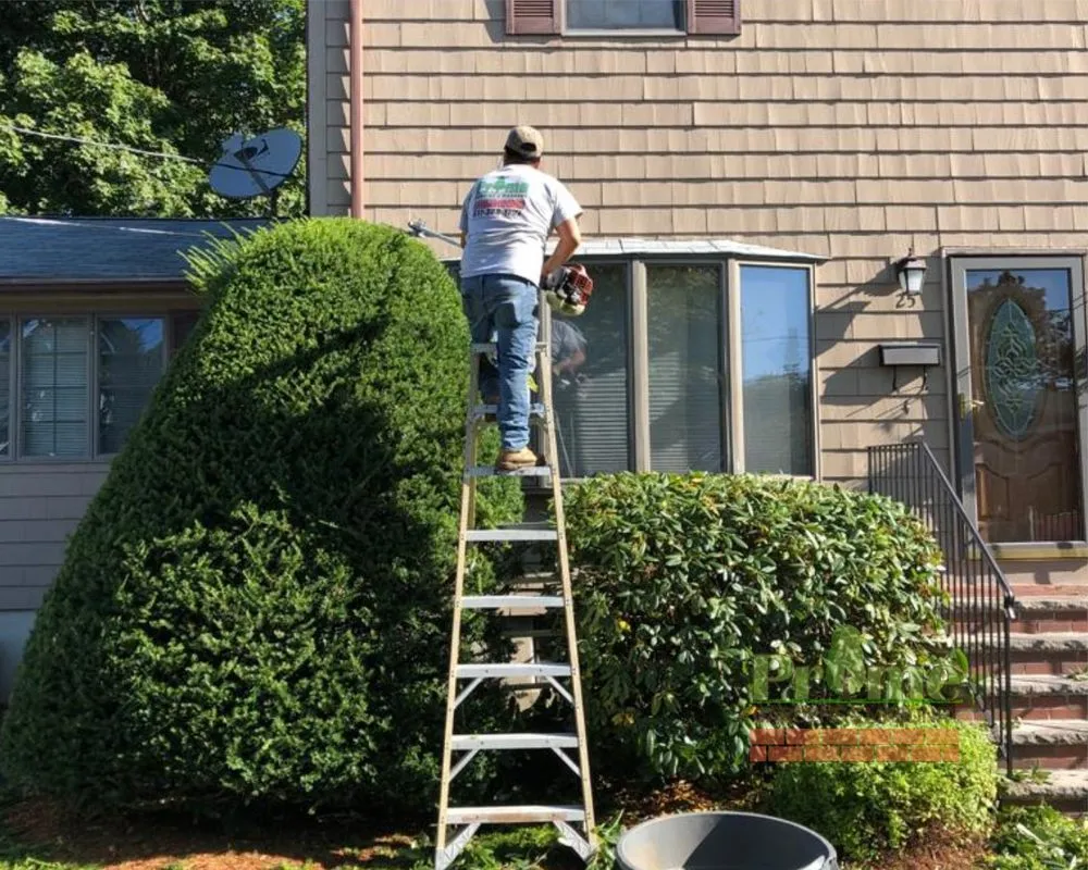 Custom landscaping services for year-round maintenance in Lynn, MA by Prime Gardens & Masonry