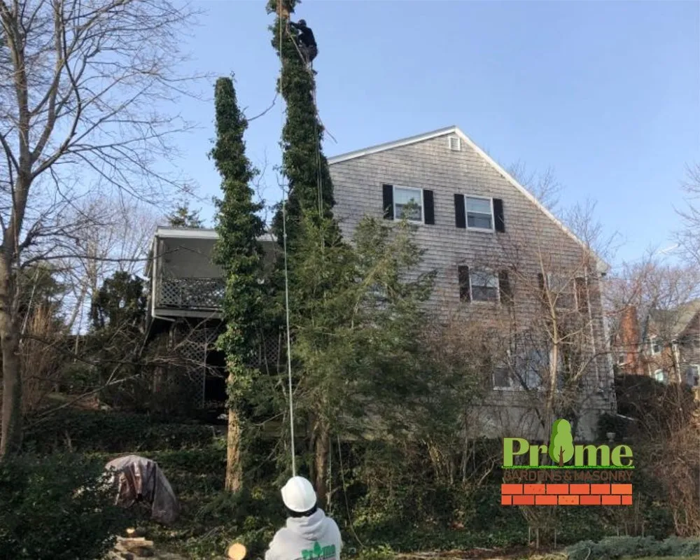 Local landscape design experts serving Lynn, MA - Prime Gardens & Masonry