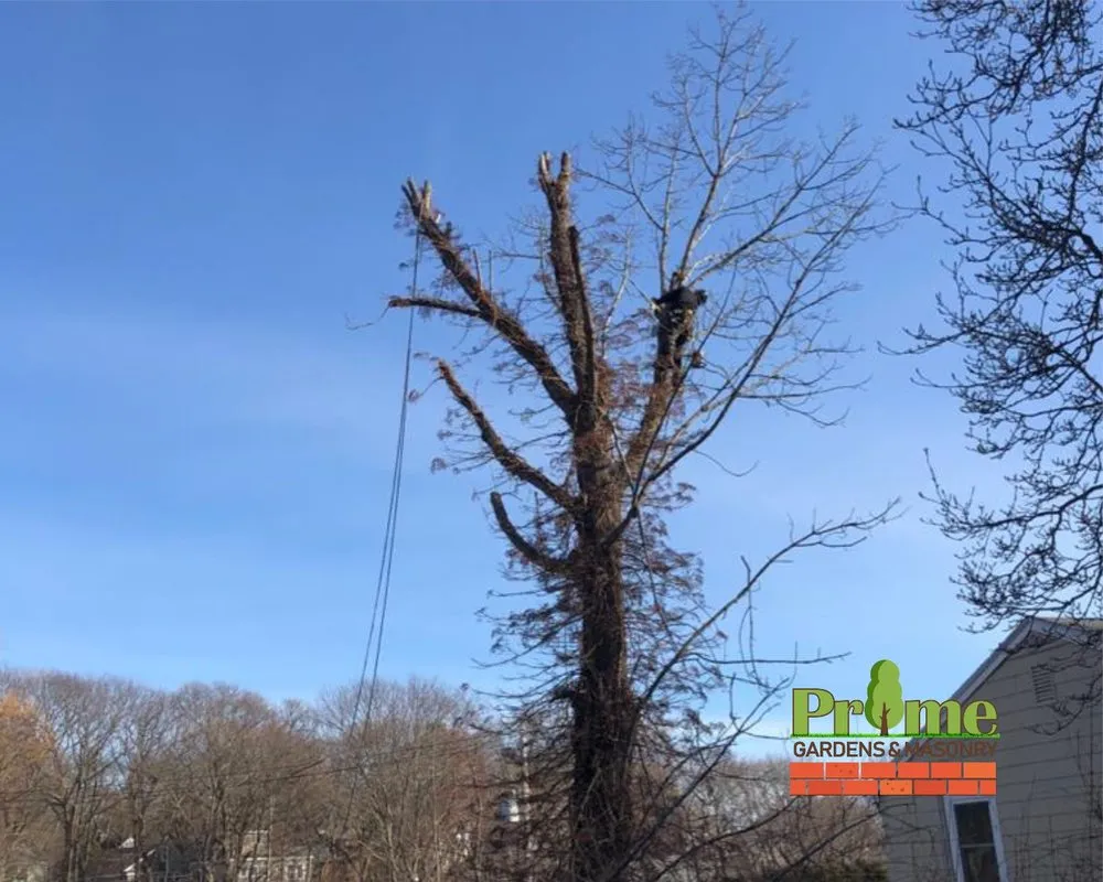 Top-rated residential landscaping for year-round maintenance across Lynn, MA - Prime Gardens & Masonry