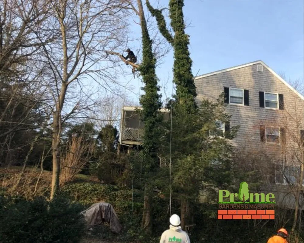 Reliable landscaping services in Lynn, MA - Prime Gardens & Masonry