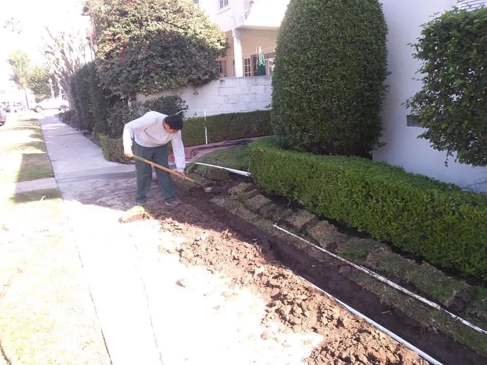 Expert lawn mowing service in Long Beach, CA - Prime Green Care