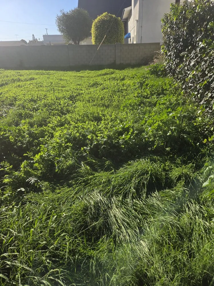 Custom landscape installation for beautiful yards across Long Beach, CA - Prime Green Care