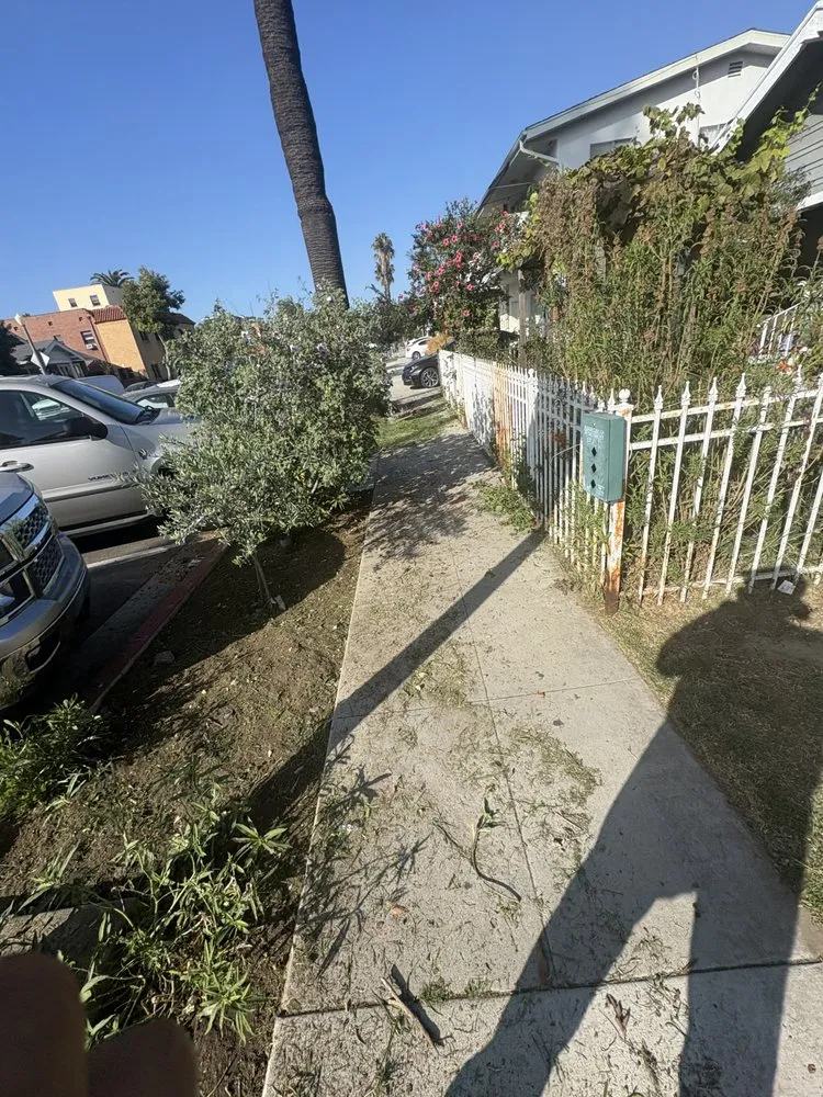 Reliable landscape design for homes in Long Beach, CA by Prime Green Care