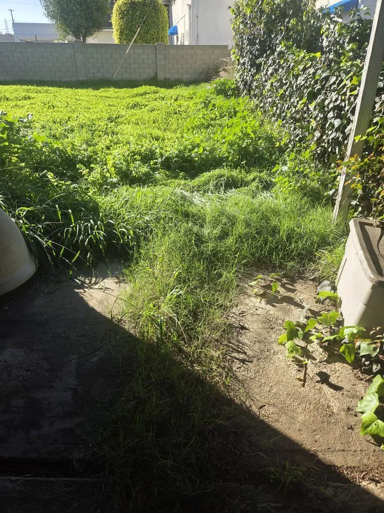 Expert landscape design experts serving Long Beach, CA - Prime Green Care