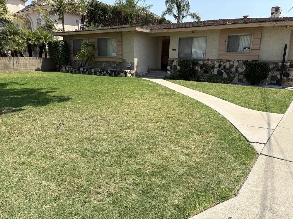 Top-rated outdoor landscaping in Long Beach, CA by Prime Green Care