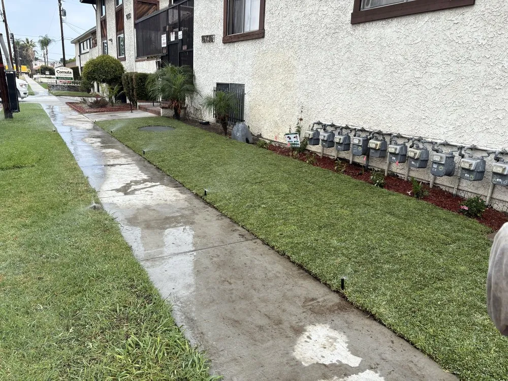 Local outdoor landscaping in Long Beach, CA by Prime Green Care