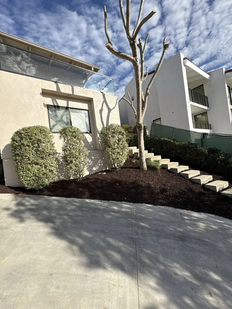 Custom yard cleanup service for outdoor upgrades in Long Beach, CA by Prime Green Care