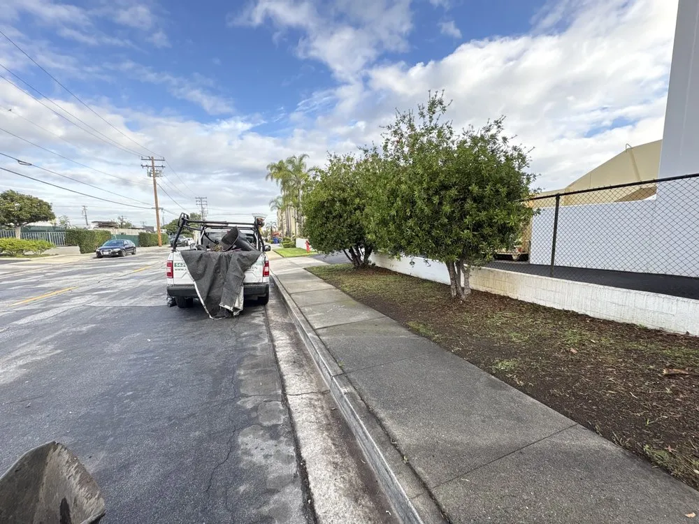 Custom garden landscaping in Long Beach, CA - Prime Green Care