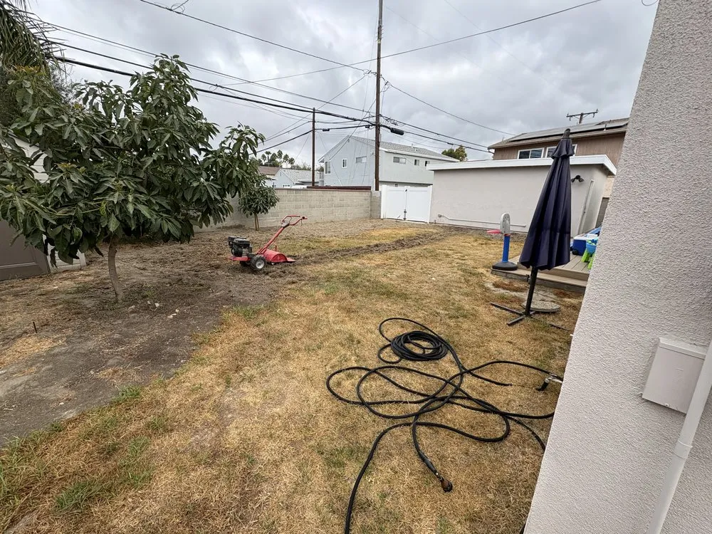 Trusted yard maintenance in Long Beach, CA by Prime Green Care
