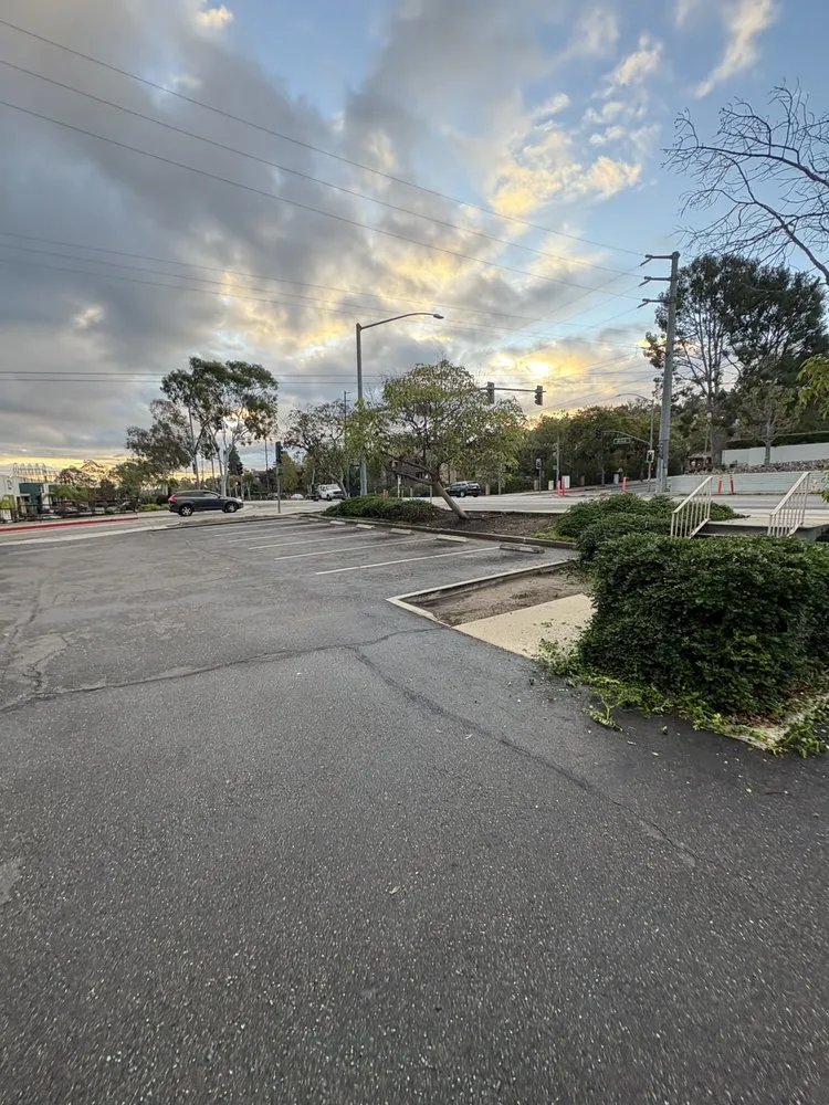 Professional lawn care service in Long Beach, CA by Prime Green Care