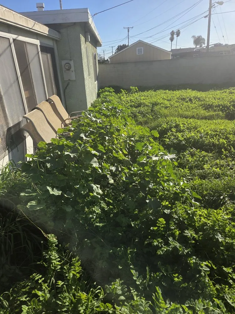 Trusted outdoor landscaping for beautiful yards across Long Beach, CA - Prime Green Care