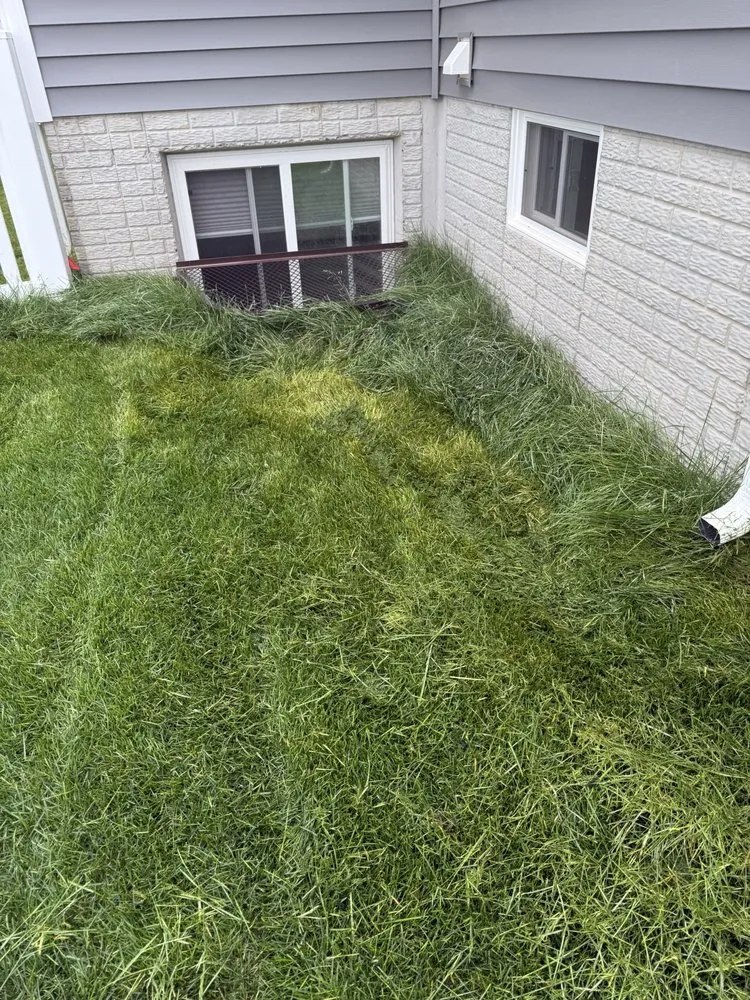 Affordable yard cleanup service in Montgomery Village, MD - Prime Green Landscape