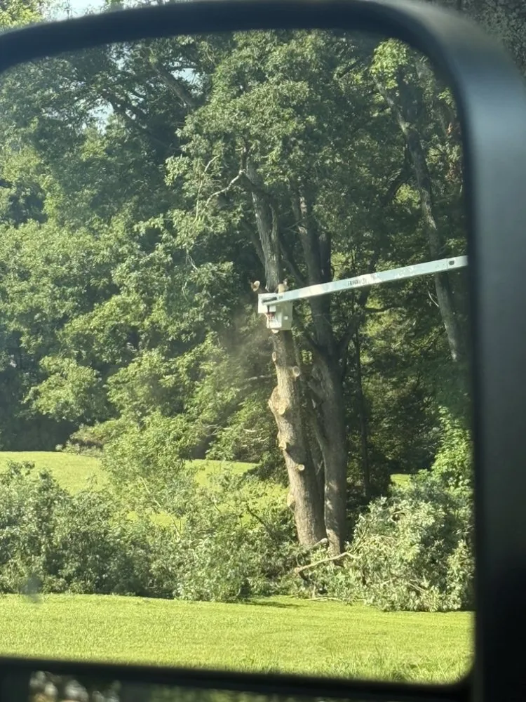 Local landscaping services in Canton, GA - Prime Green Landscaping & Tree Service