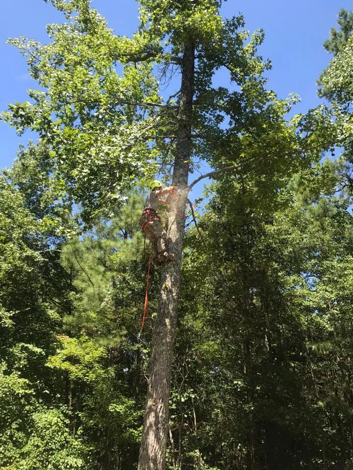 Local landscape design experts serving Canton, GA - Prime Green Landscaping & Tree Service