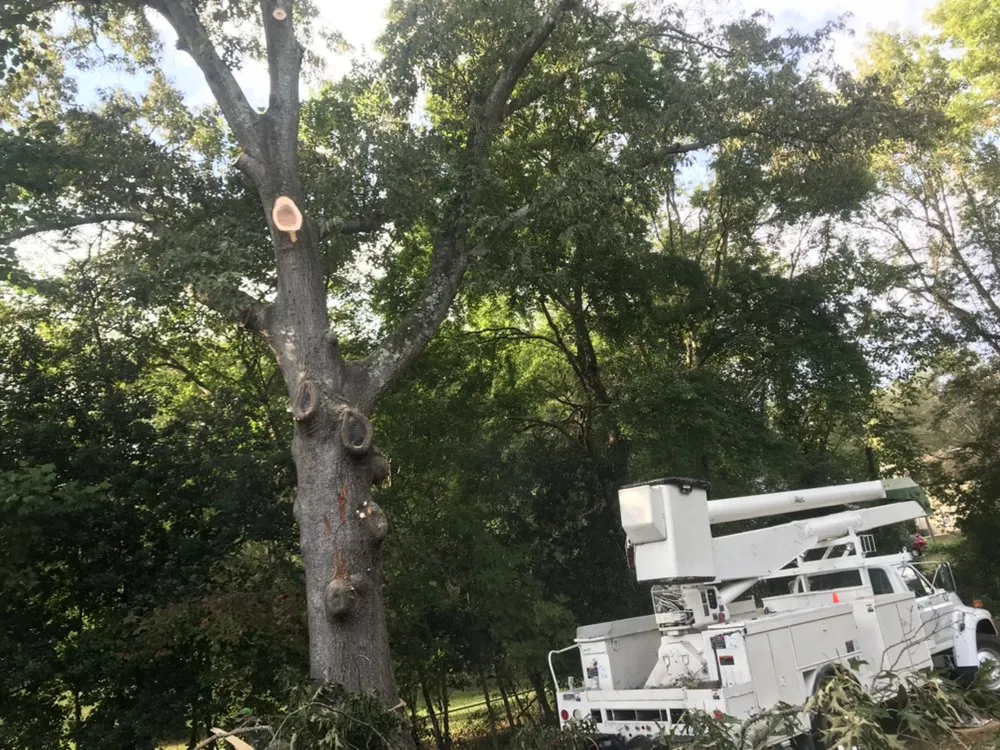 Affordable lawn mowing service for homes in Canton, GA by Prime Green Landscaping & Tree Service