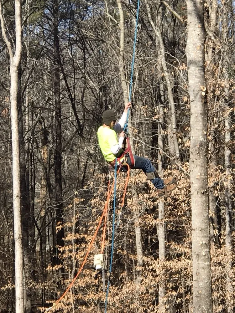Local landscape installation for residential properties in Canton, GA by Prime Green Landscaping & Tree Service