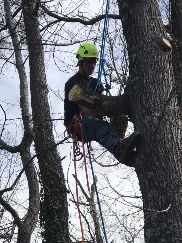 Top-rated outdoor landscaping for outdoor upgrades across Canton, GA - Prime Green Landscaping & Tree Service