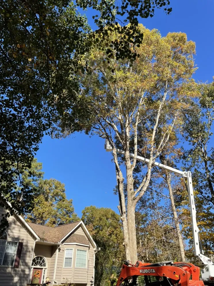 Custom yard cleanup service in Canton, GA by Prime Green Landscaping & Tree Service