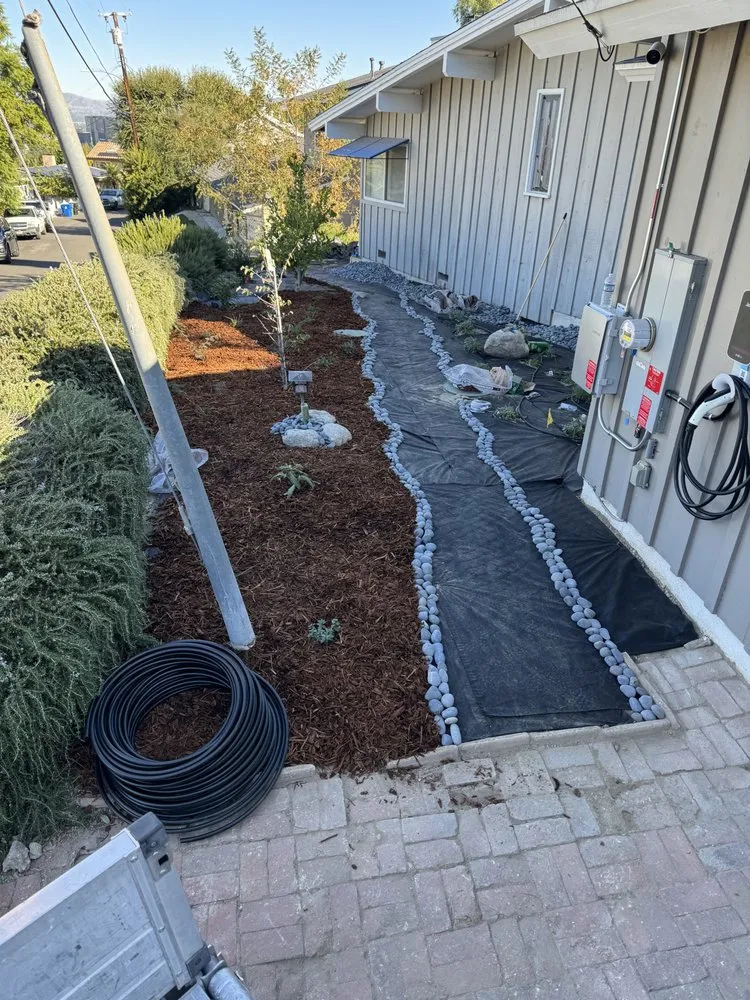 Expert landscape installation for year-round maintenance in Los Angeles, CA by Prime Green Remodeling