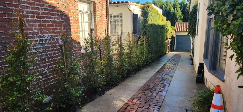 Local lawn care service experts serving Los Angeles, CA - Prime Green Remodeling