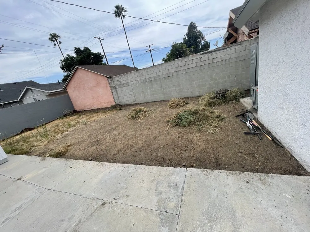 Top-rated yard maintenance near you across Los Angeles, CA - Prime Green Remodeling