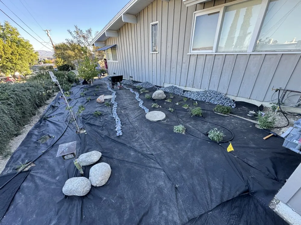 Reliable yard maintenance in Los Angeles, CA by Prime Green Remodeling