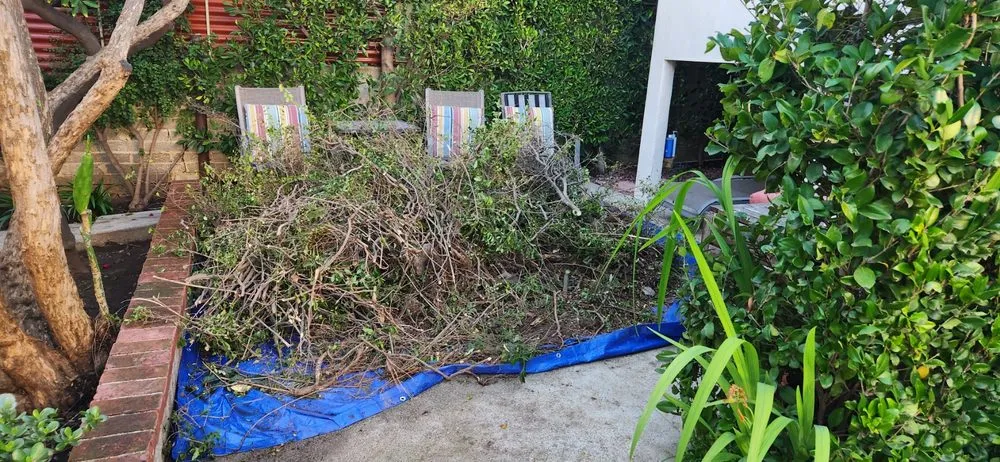 Custom landscape installation experts serving Los Angeles, CA - Prime Green Remodeling