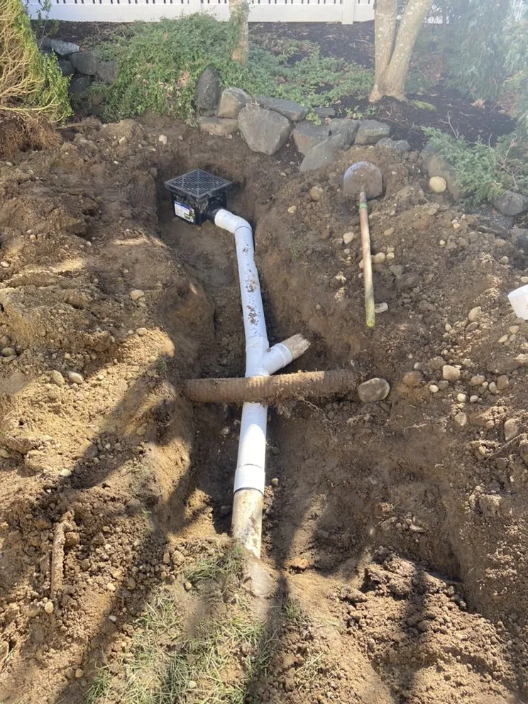 Expert yard maintenance for year-round maintenance across Bonney Lake, WA - Prime Ground