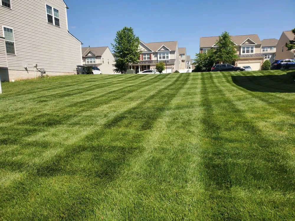 Trusted lawn mowing service experts serving Manassas, VA - Prime Landscape & Lawn Care