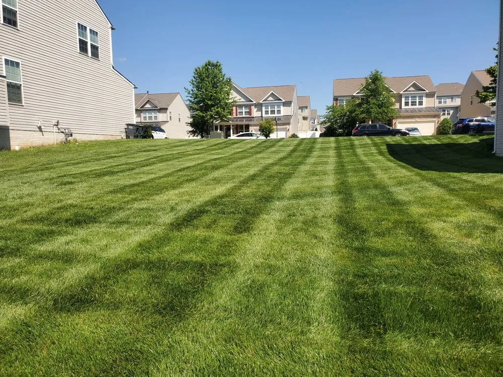 Expert landscape design for beautiful yards in Manassas, VA by Prime Landscape & Lawn Care