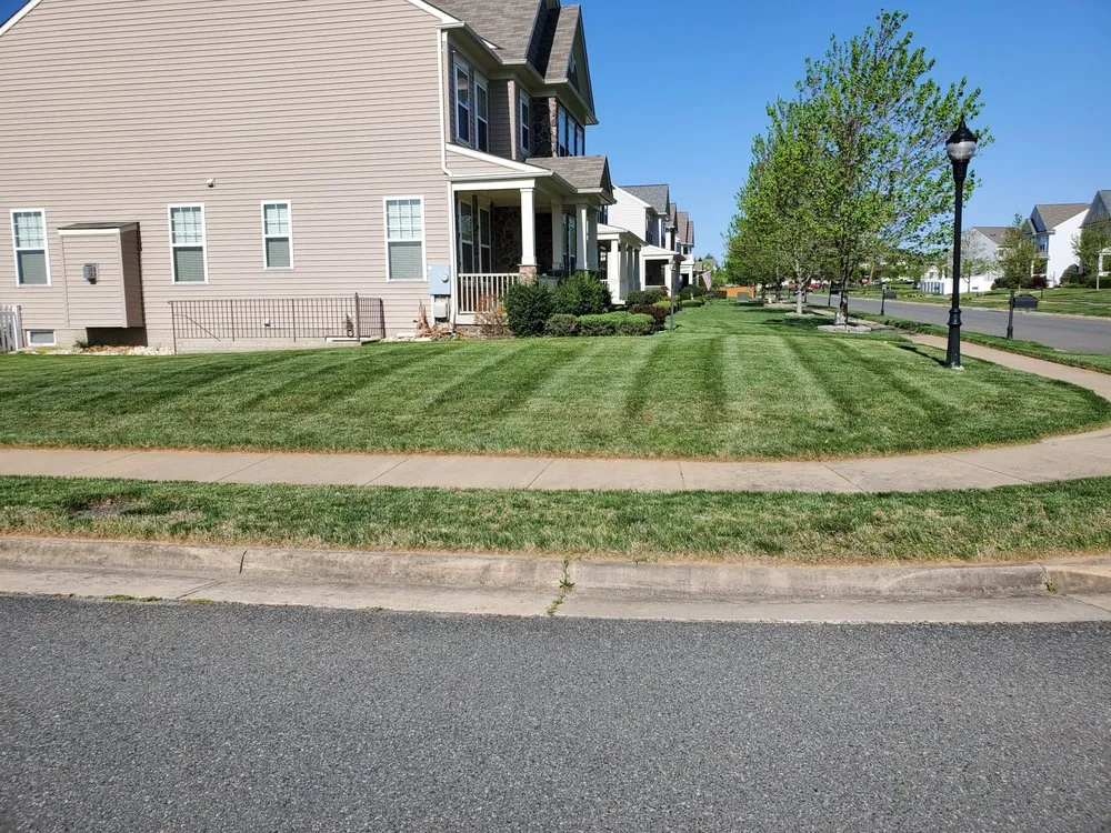 Custom yard cleanup service for beautiful yards in Manassas, VA by Prime Landscape & Lawn Care