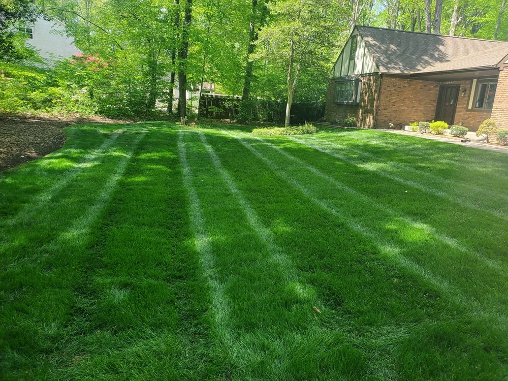 Trusted residential landscaping for beautiful yards across Manassas, VA - Prime Landscape & Lawn Care