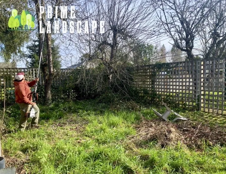 Affordable residential landscaping with custom design across Salem, OR - Prime Landscape Services